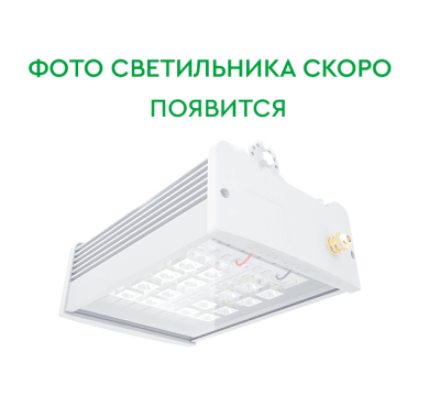 Архитектурный светодиодный светильник со вторичной оптикой LONG-ARC-40 (L1200) OPTIC